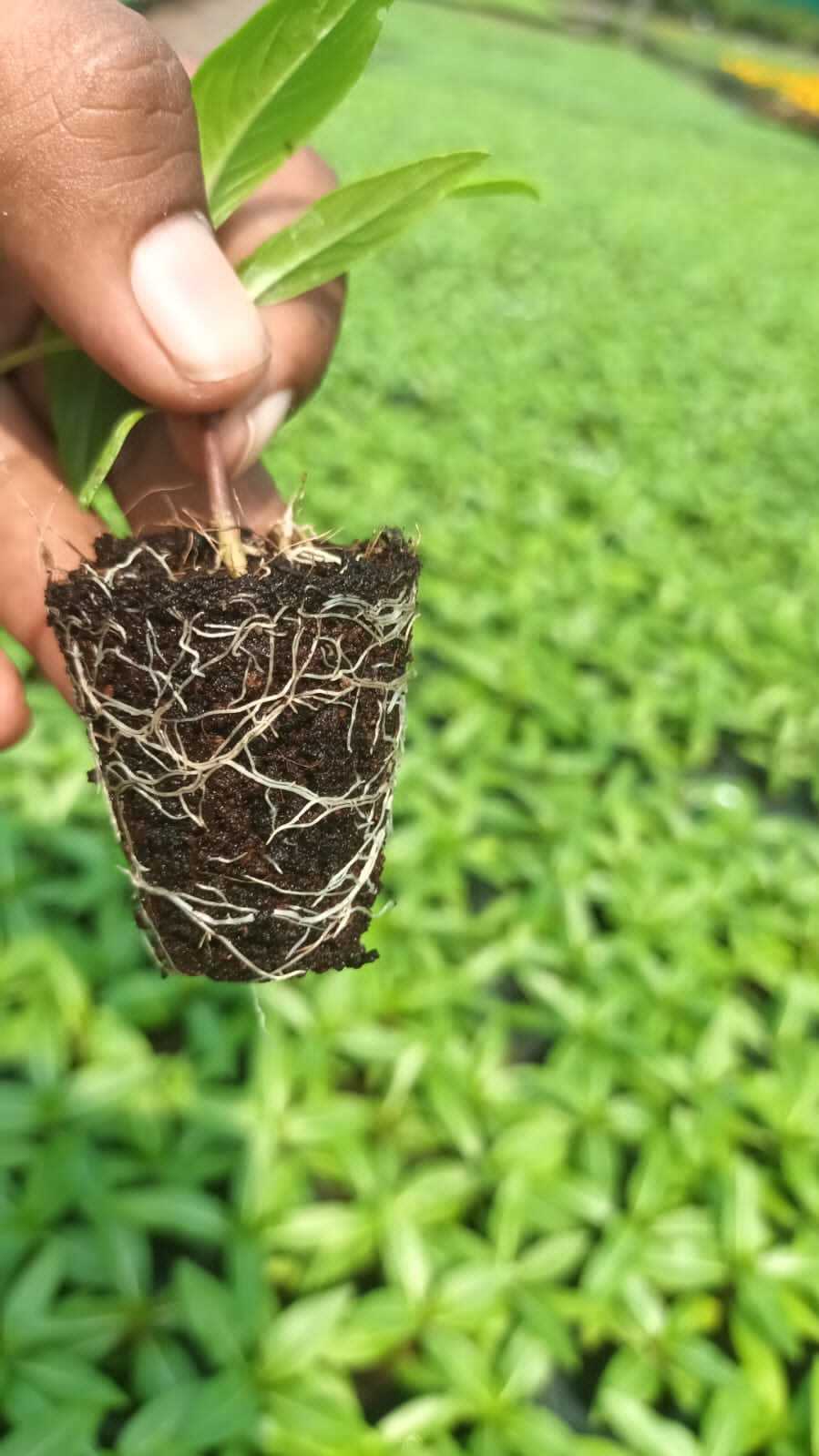 PHOTO-2022-11-02-12-32-15