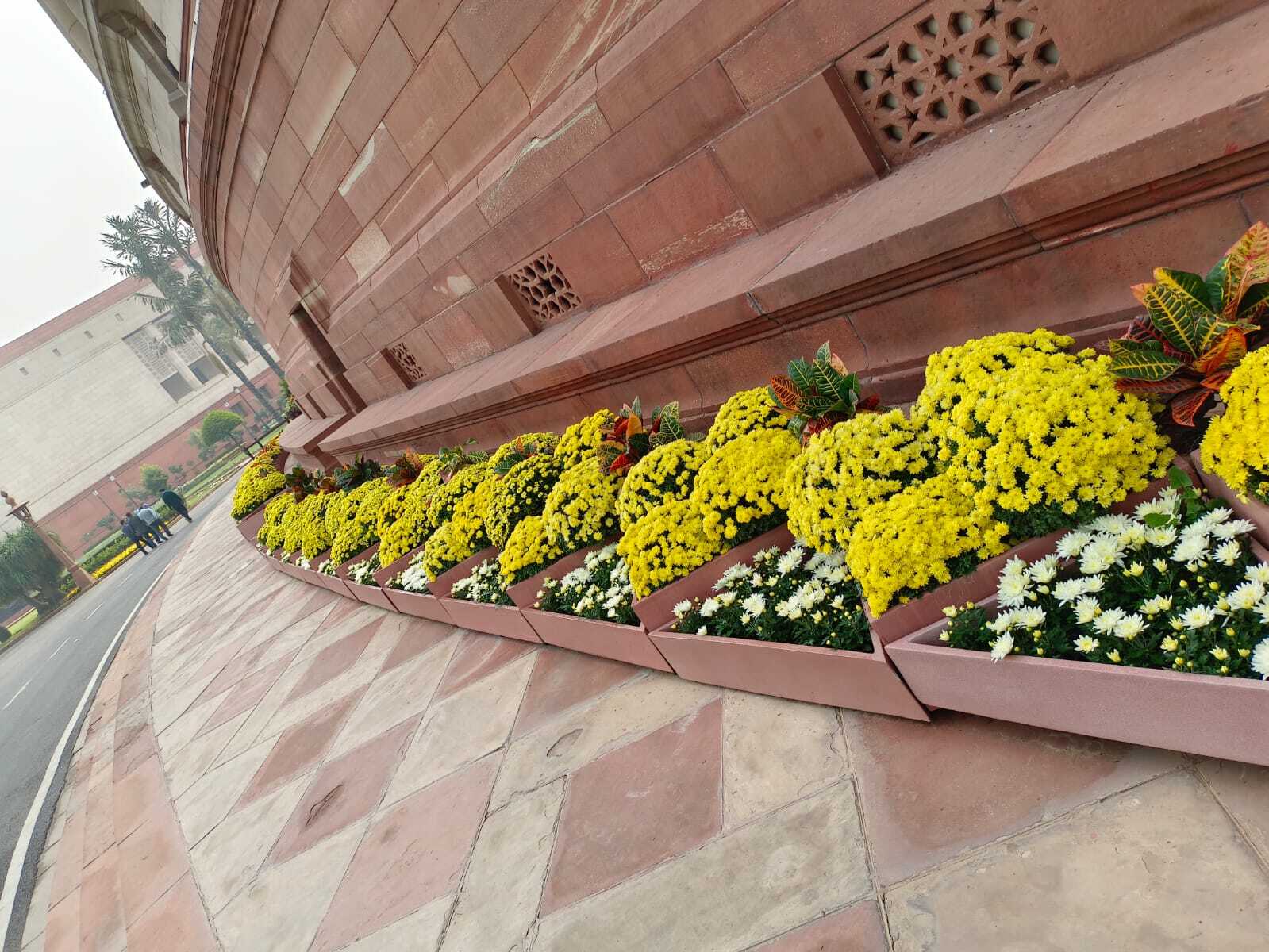 PHOTO-2023-11-29-11-17-01