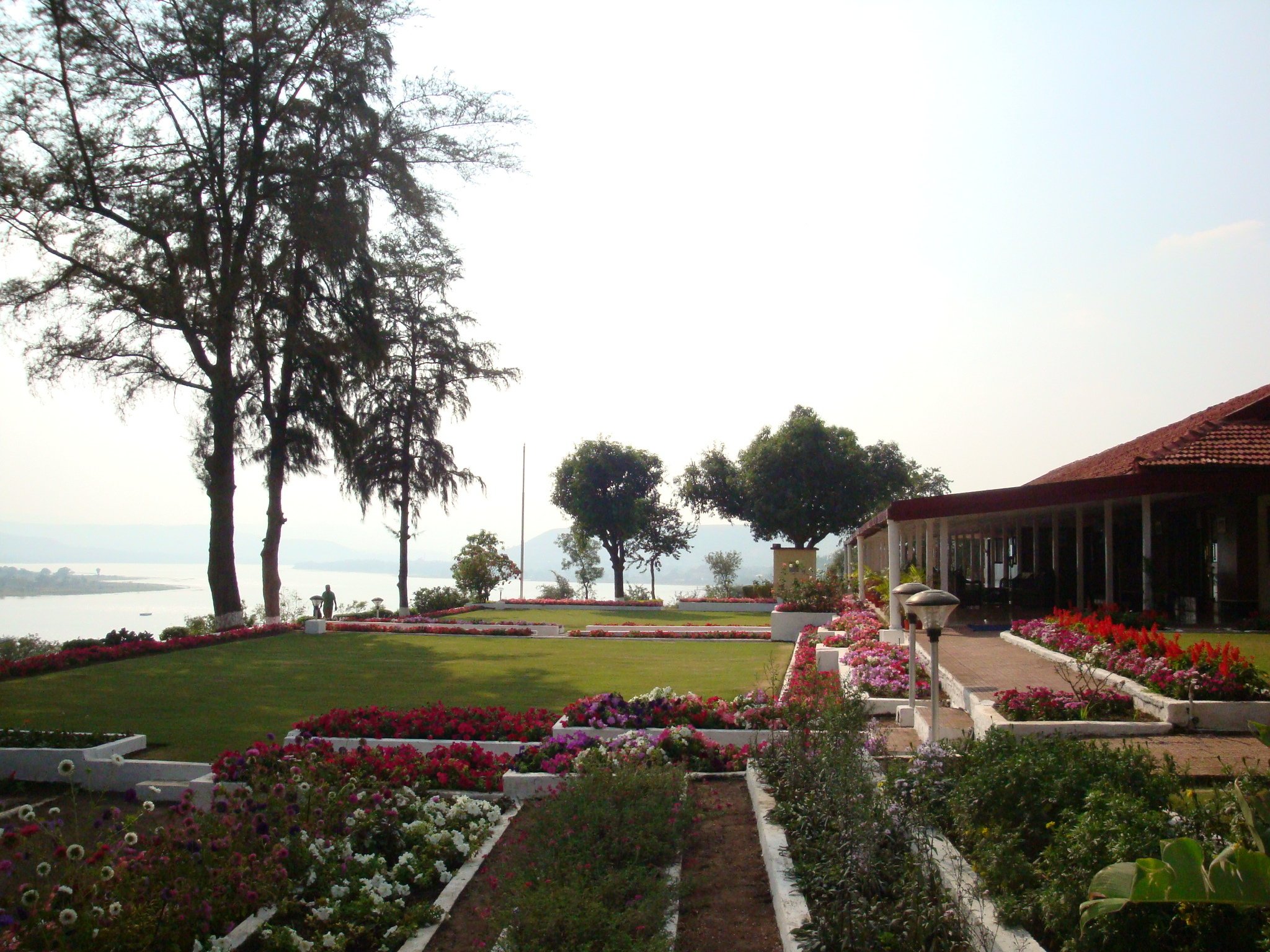 lakeview landscape overview